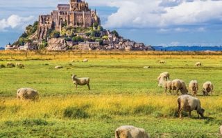 French Property Showdown: La Manche VS Calvados