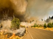 Strikes, Fuel Prices and France’s Biggest Wildfire: Ne...