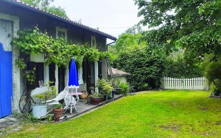 Real Life Stories: Living and working in Charente