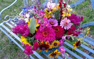 My Hot and Bothered Flower Farm in the Dordogne