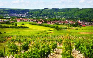 Tonnerre, Burgundy: Location Guide