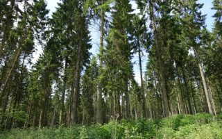 My French Village: Les Grandes-Ventes in Normandy