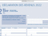 Filling in Your 2026 French Tax Return: The BASICS (Step-by-...