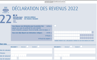 Filling in Your 2025 French Tax Return: The BASICS (Step-by-...