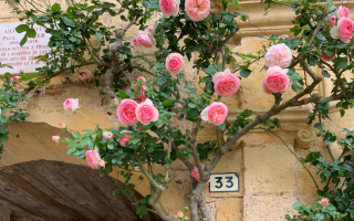 Top Tips for Your Property Hunt from a French Estate Agent