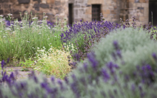 Eco-friendly practices at holiday homes