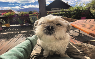 Running a gite: Tips for communicating with guests