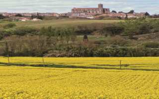 My Village: Montréal, Aude