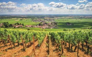 French Property Location Guide: Burgundy