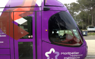 News Digest: Free public transport, hailstorms & world’s longest baguette