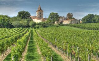 News Digest: New Government, Port Blockades & Financial Aid to Destroy Vineyards