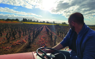 Vine Guardians: A new generation of winemakers in the Languedoc