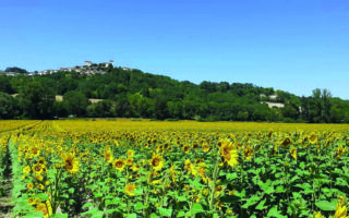 Following Family: Multi-Generational Moving to France