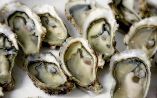 The Art of Ordering Oysters in France: Types and Numbering