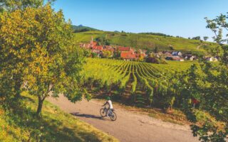 Power to the pedal! Buying in France for Cyclists