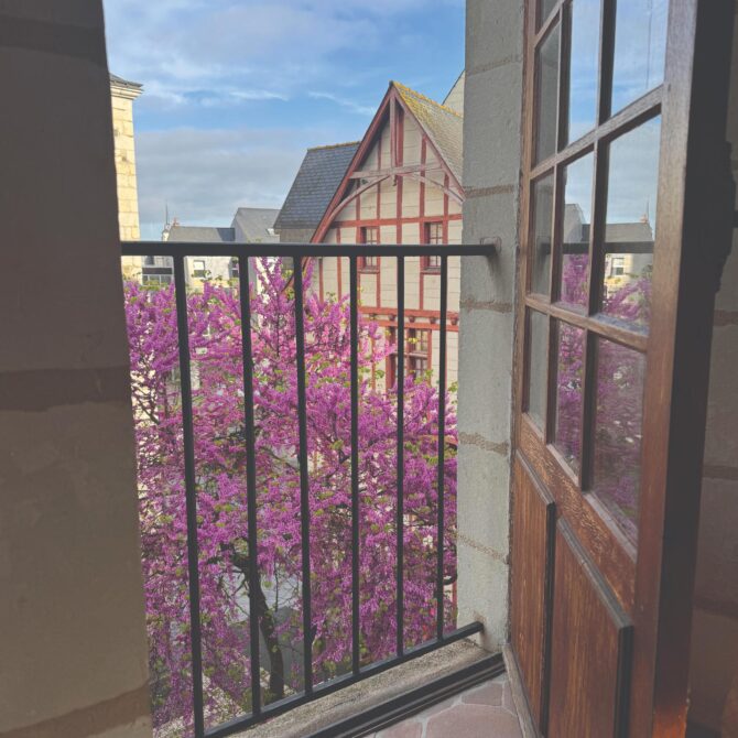 Real Life-Justin_Saumur-View from inside-CREDIT-Justin Wescombe