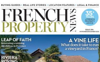 Issue 396
