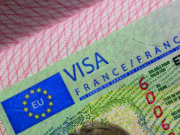 Profession Libérale Visa Business Plan: 5 Things You Must I...