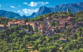 What Drives Languedoc’s Local Property Market?