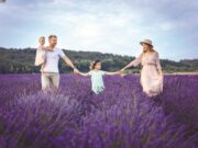 Guide to State Benefits in France: Part 1...