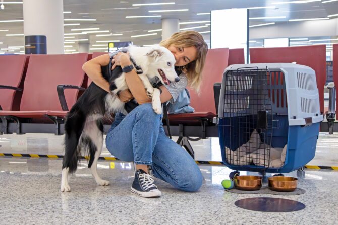 Moving Pets to France: What Owners Need to Know