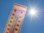 Heatwave Alerts, Summer Sales and Inheritance Fees: News Dig...