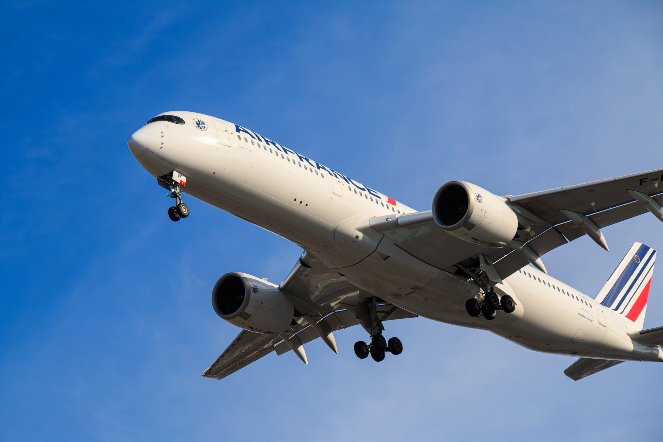 Summer Travel, Rubbish Fines and Health Updates: News Digest