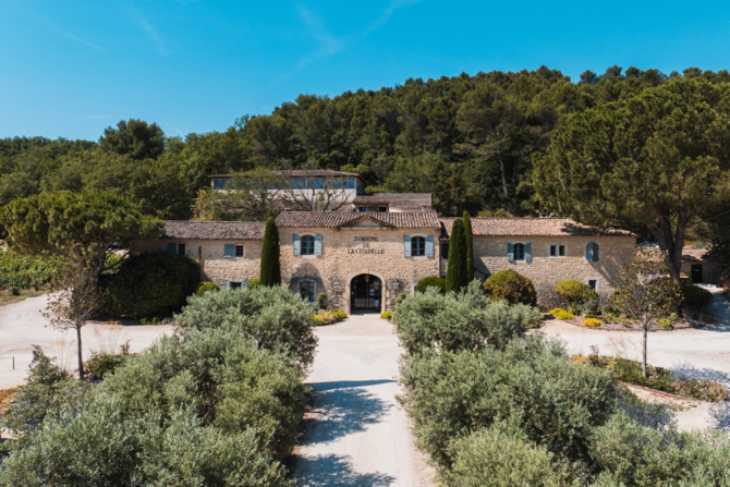 Wine, Wisdom, and Financial Clarity