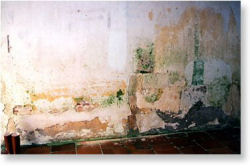 Damp stains on interior wall