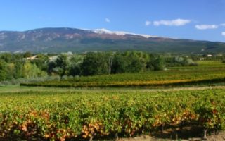 Provence: Garden of France