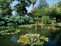 Menton Botanical Gardens