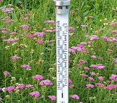 garden thermometer