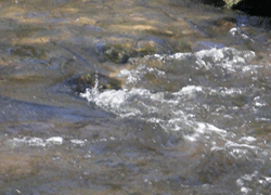 babbling brook