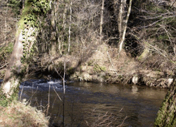Creuse Stream