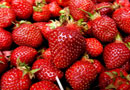 Correze strawberrys Limousin