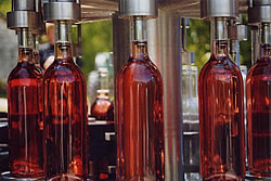 Bottling the rosé 