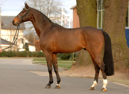 Equestrian Winter Vocabulary: Rugs, Clips, Stables