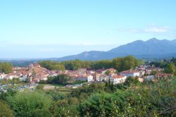 view of Ceret with Alberes mountains