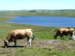 Lac Saint-Andeol