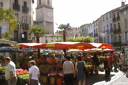 Pezenas market is a local highlight